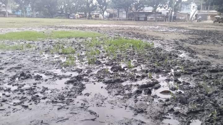 মাগুরার সিমাখালী গরুর হাট নিয়ে সামাজিক যোগাযোগ মাধ্যমে সমালোচনার ঝড়