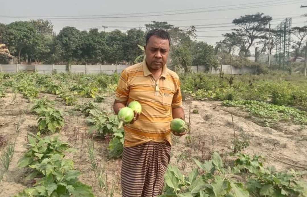 গজারিয়ার নতুন কৃষি উদ্যোক্তা জকির সরকার এর শখে'র হ্যাচারি কৃষি প্রকল্প সাফল্যের পথে