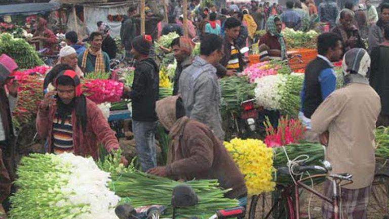 যশোরের ফুল চাষীদের মুখে সাফল্যের হাসি