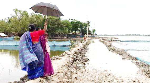 পাইকগাছার পারিশ্বামারী রাস্তার বেহাল দশা! কাঁদা-জলে মগ্ন