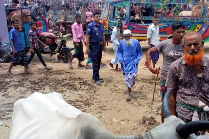 নড়াইলের বিভিন্ন কোরবানির পশুরহাটে মানুষের জানমালের নিরাপত্তায় জেলা পুলিশের কন্ট্রোল রুম