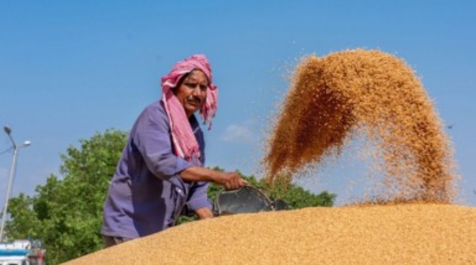 প্রতীকী ছবি 