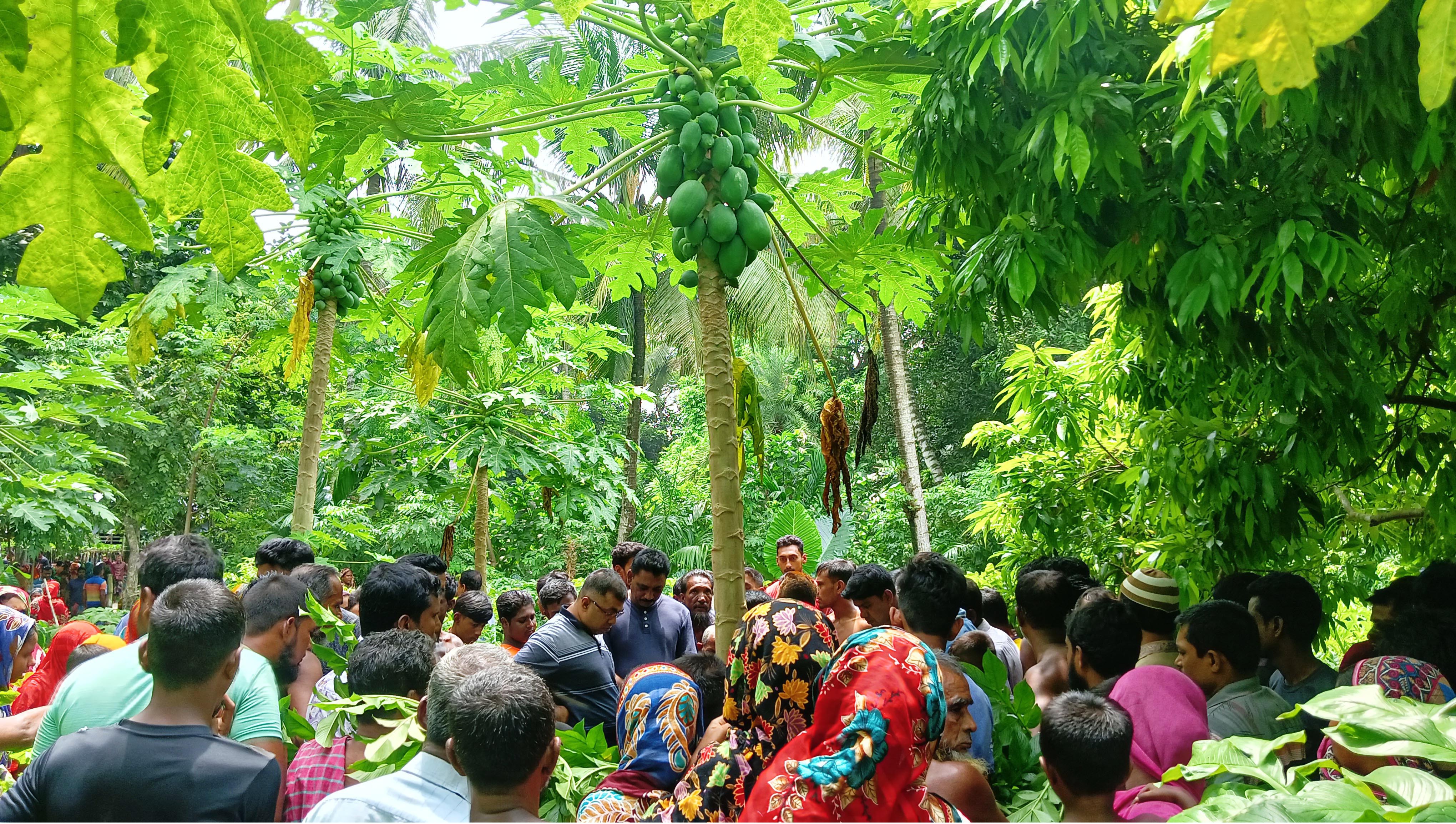 কেশবপুরে পেঁপে চুরি করতে গিয়ে এক ব্যক্তির মৃত্যু