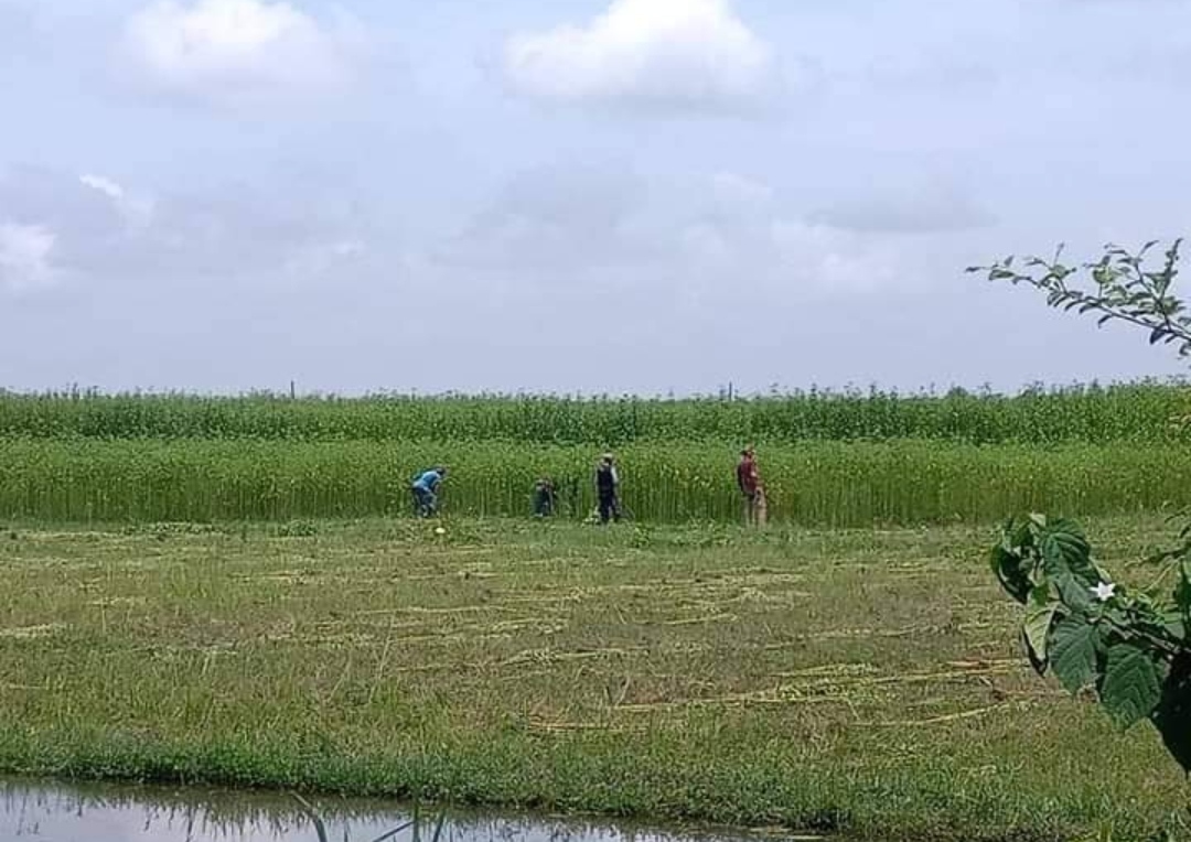 ফাইল ফটো 