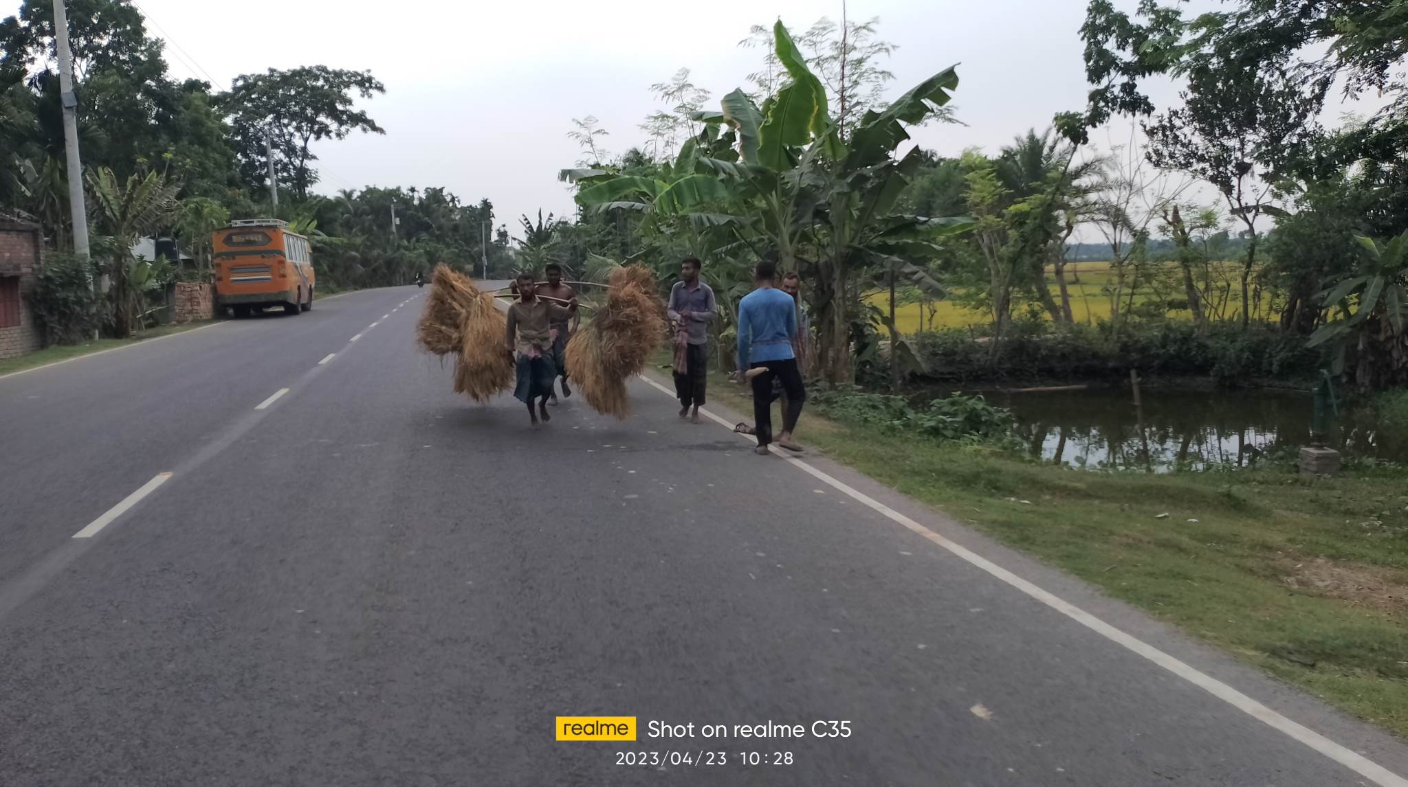 যশোরে গুড়ি গুড়ি বৃষ্টিতে বাড়িতে ধান আনতে ব্যস্ত সময় পার করছে কৃষক 