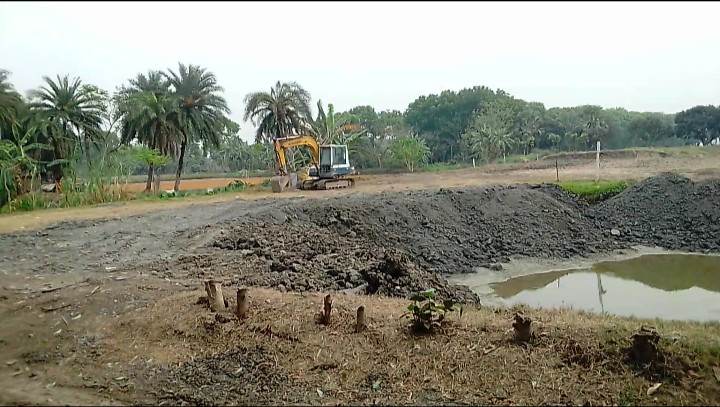 যশোরে সম্পত্তি জোর করে দখলের অভিযোগ